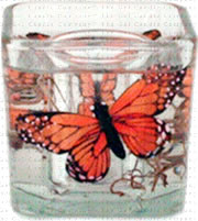 Butterfly Gel Candle - Orange Butterfly Gel Candle - Orange