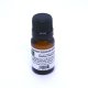 Rainforest Sugarcane Inspired Fragrance Oil (image for) Rainforest Sugarcane Inspired Fragrance Oil