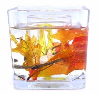 Flameless Fall Leaves Flameless Forever Gel Candle Glass Cube (image for) Flameless Fall Leaves Flameless Forever Gel Candle Glass Cube