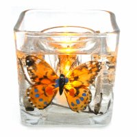Flameless Colorful Butterfly Forever Gel Candle (image for) Flameless Colorful Butterfly Forever Gel Candle