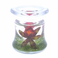 Flameless Red And Green Orchids Forever Candle Design (image for) Flameless Red And Green Orchids Forever Candle Design