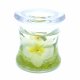 Flameless White Orchid Forever Candle Design (image for) Flameless White Orchid Forever Candle Design