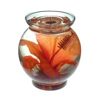 Orange Color Hibiscus Gel Candle Design In Flat Top Glass Refillable Forever Gel Candle (image for) Orange Color Hibiscus Gel Candle Design In Flat Top Glass Refillable Forever Gel Candle