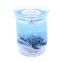 Sea Turtle Hatchling Forever Gel Candle With 4 Pack Tea Lights (image for) Sea Turtle Hatchling Forever Gel Candle With 4 Pack Tea Lights